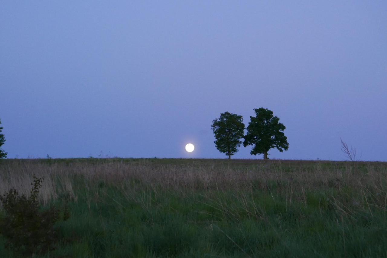 Roze I Jablonie Agroturystyka Gryfów Śląski Dış mekan fotoğraf