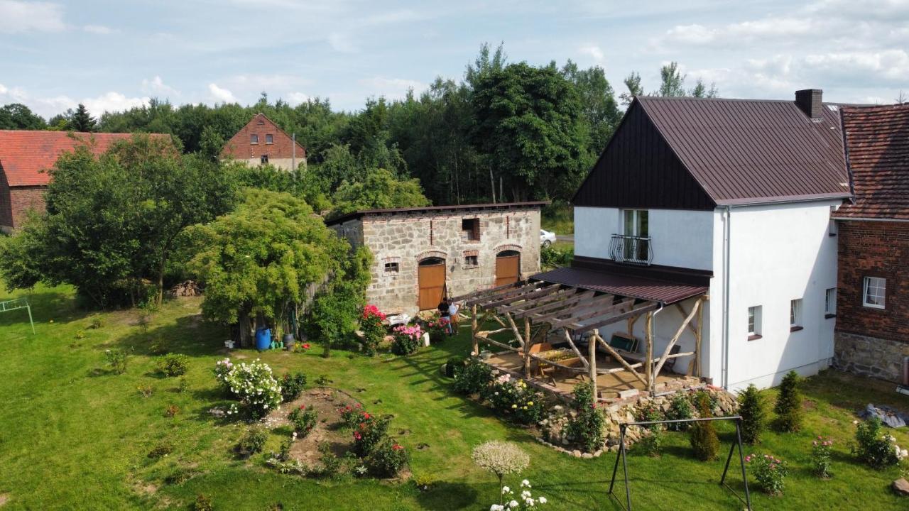 Roze I Jablonie Agroturystyka Gryfów Śląski Dış mekan fotoğraf