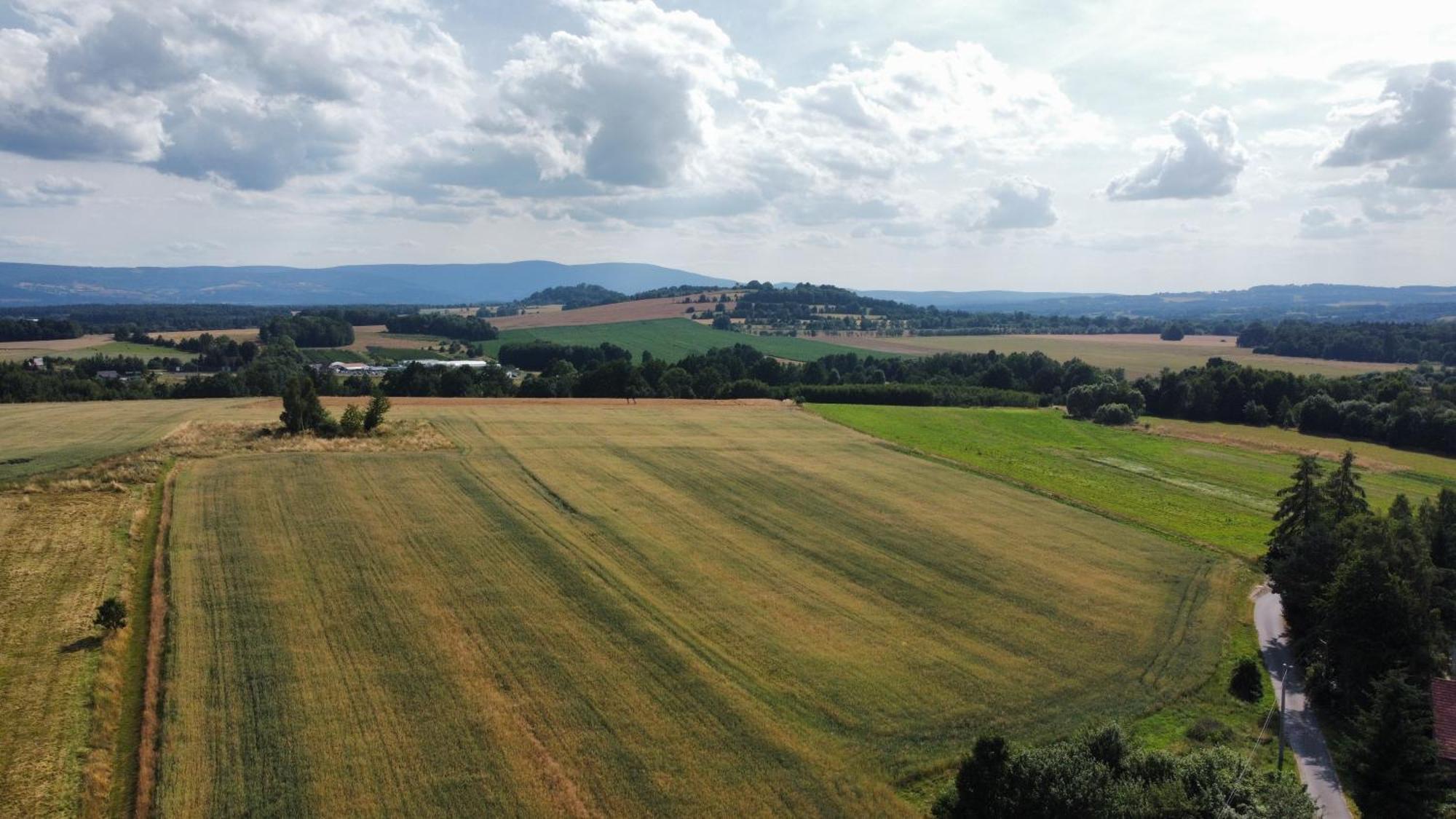 Roze I Jablonie Agroturystyka Gryfów Śląski Dış mekan fotoğraf