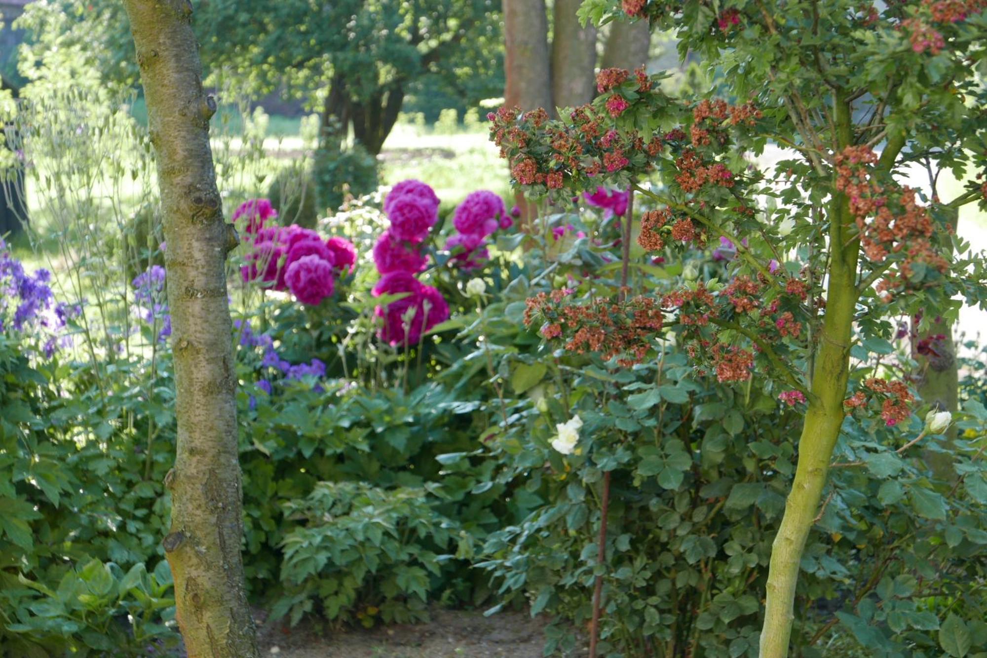 Roze I Jablonie Agroturystyka Gryfów Śląski Dış mekan fotoğraf