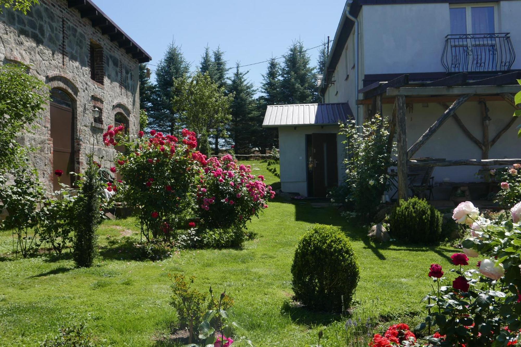 Roze I Jablonie Agroturystyka Gryfów Śląski Dış mekan fotoğraf