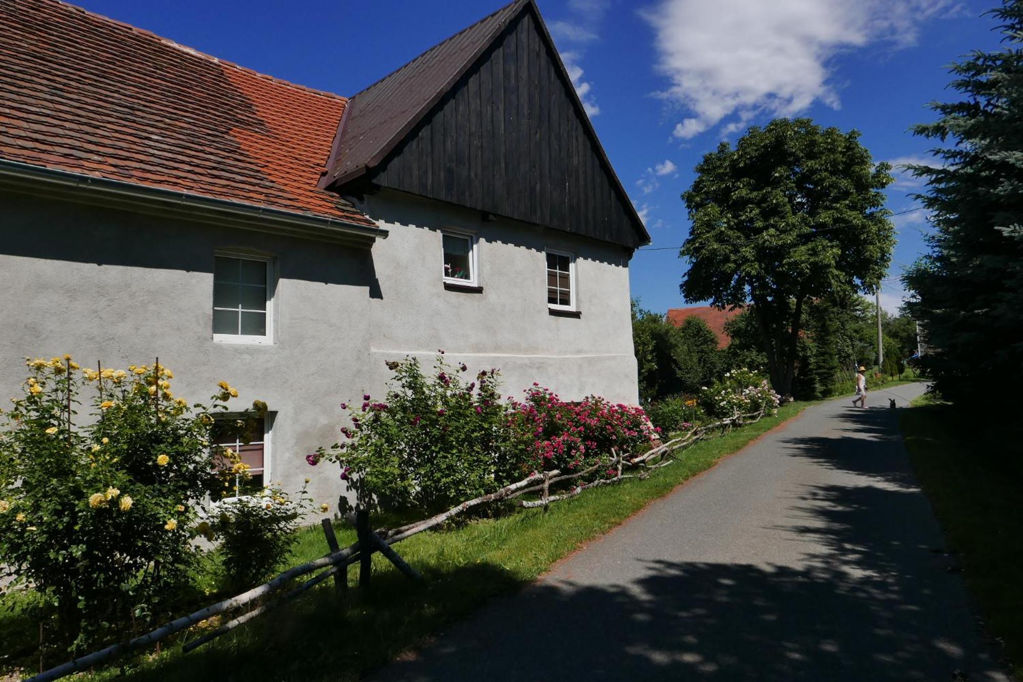 Roze I Jablonie Agroturystyka Gryfów Śląski Dış mekan fotoğraf