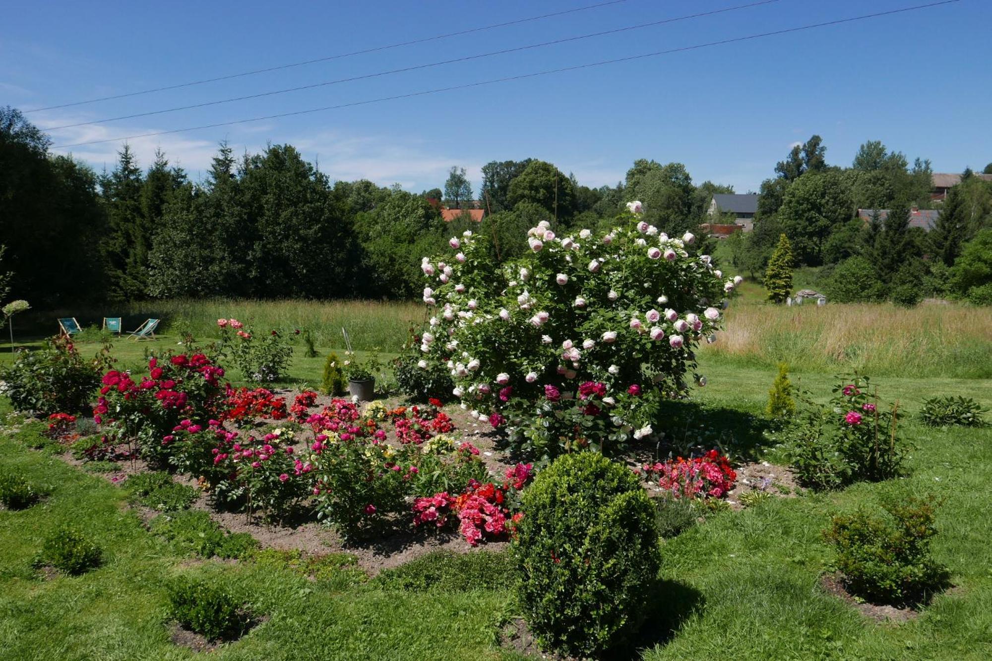 Roze I Jablonie Agroturystyka Gryfów Śląski Dış mekan fotoğraf