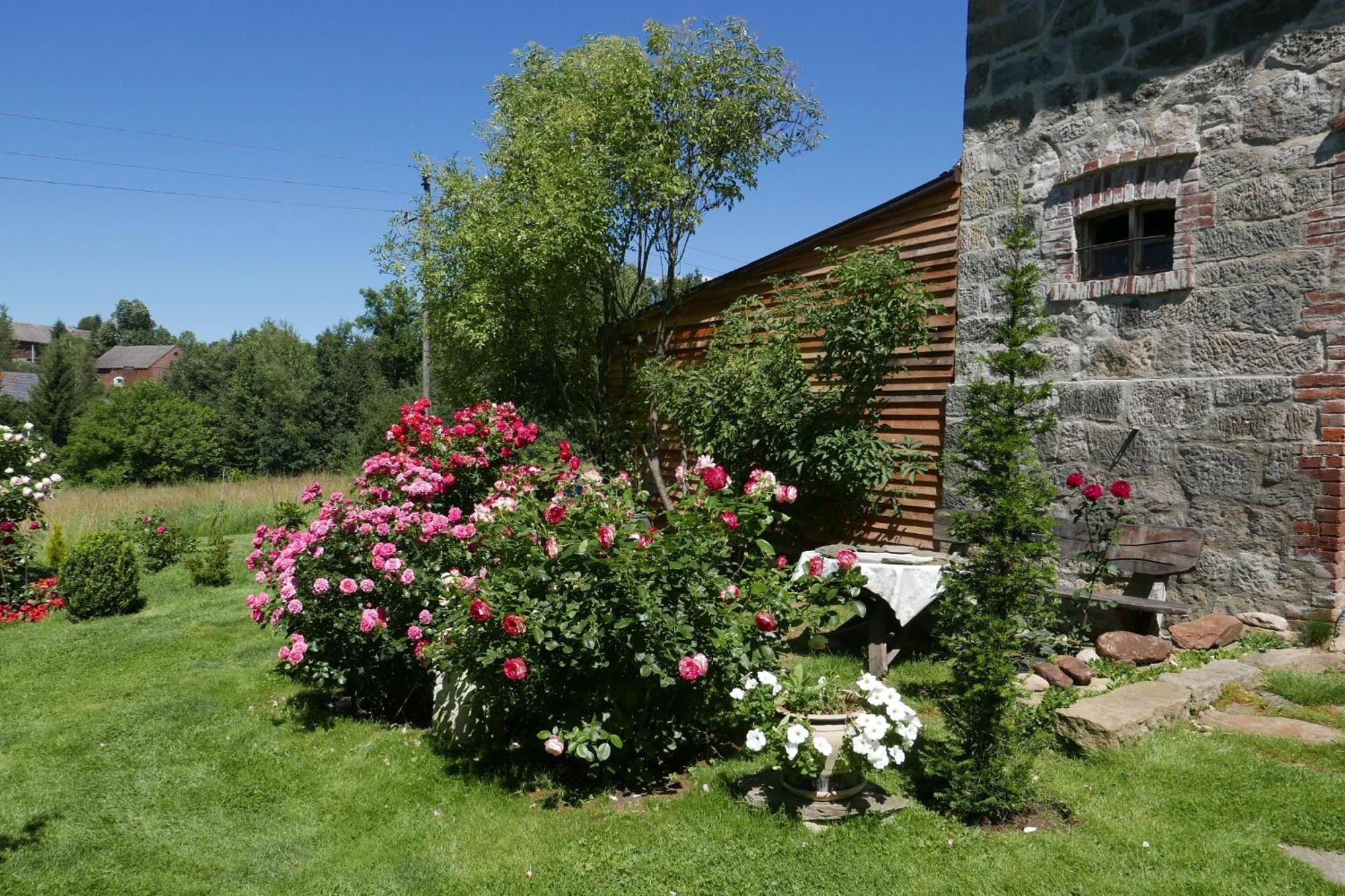 Roze I Jablonie Agroturystyka Gryfów Śląski Dış mekan fotoğraf